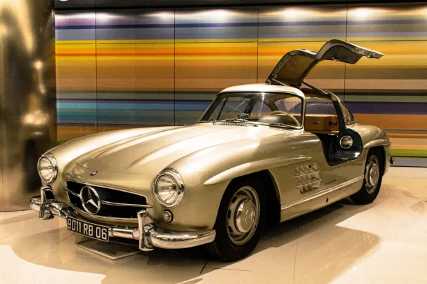 정글리윈 카지노 안드로이드/iOS 앱